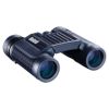 Bushnell H2O 10x25, black