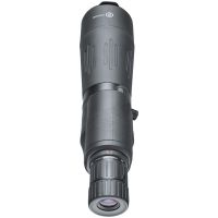 Bushnell Prime 20-60x65 Straight