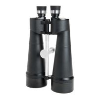 Celestron Skymaster 25x100