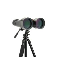 Celestron Skymaster 25x100