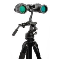 Celestron Landscout 8x40