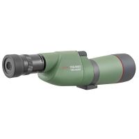 Kowa 20-60x66 S