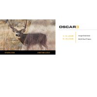 Sig Sauer Oscar3 10-20x30, Stabilized