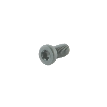 Spuhr Sauer Recoil Screw