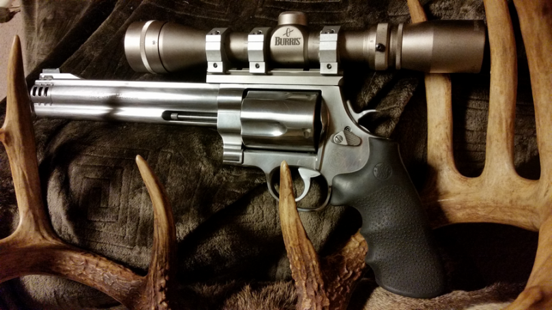 Handgun scope - A revolver with a silver Burris optics