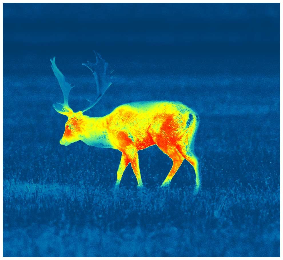 Thermal Imaging Optics - Not Suitable for Trophy Hunting